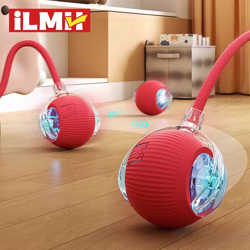Cat Interactive Ball Toy