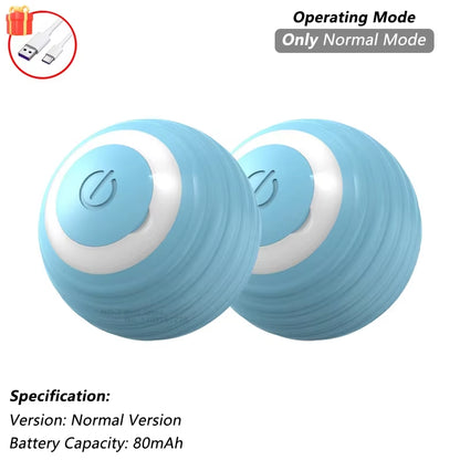 Cat Interactive Ball Toy