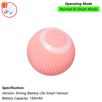 Cat Interactive Ball Toy