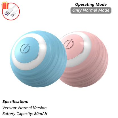 Cat Interactive Ball Toy