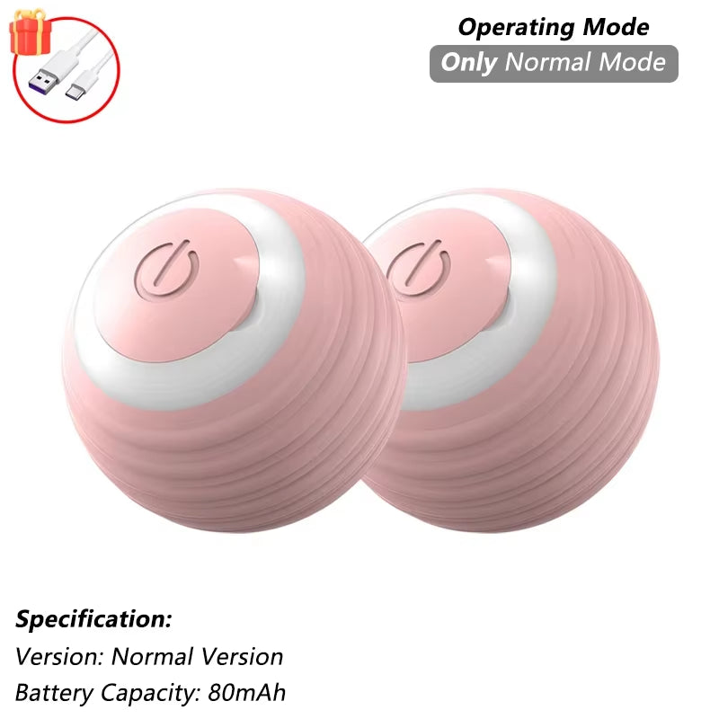 Cat Interactive Ball Toy